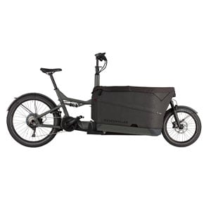 E-CARGO BIKE