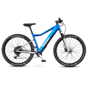 E-MTB HARDTAIL 26"