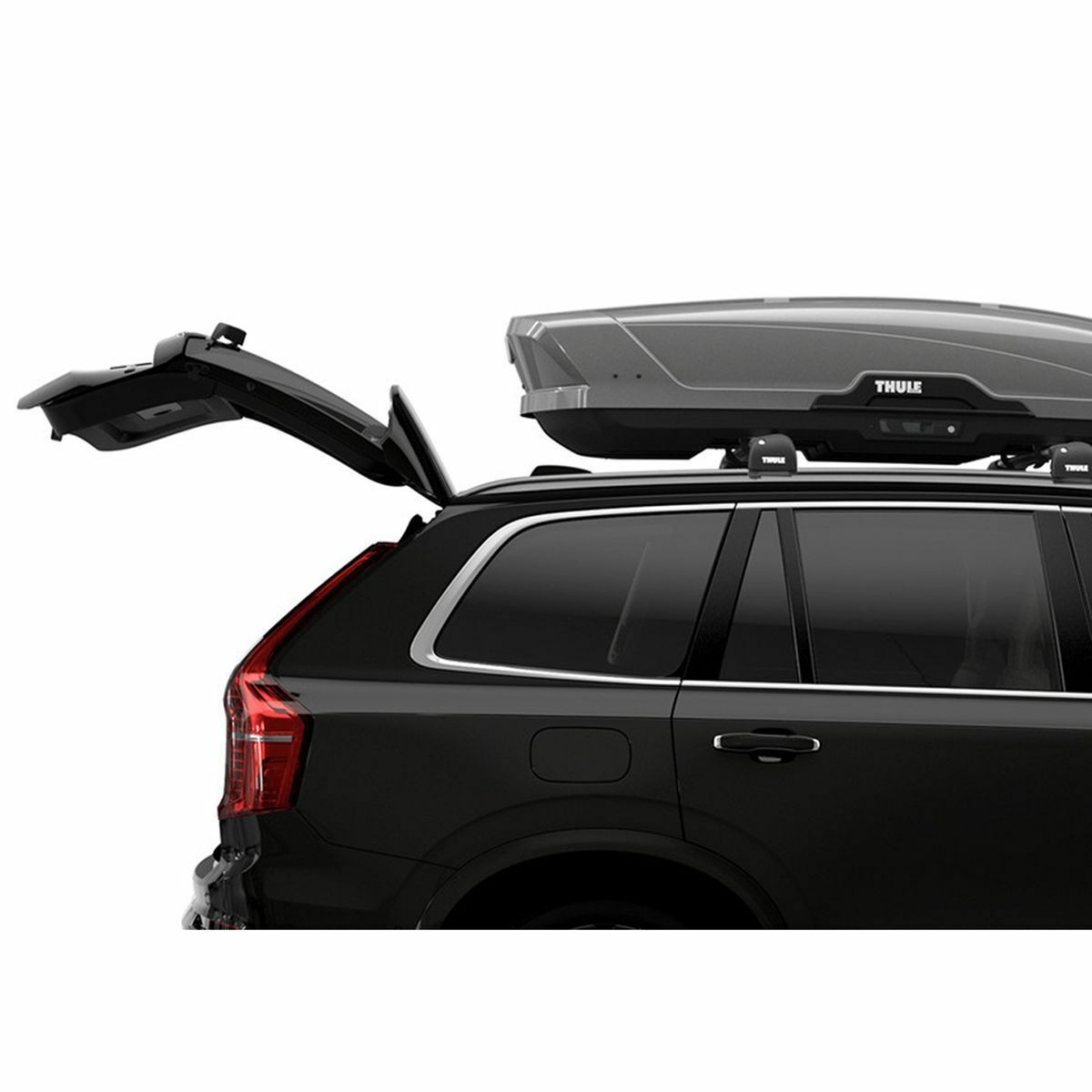 Thule cutie Motion XT Alpine ski roof box Titan lucios
