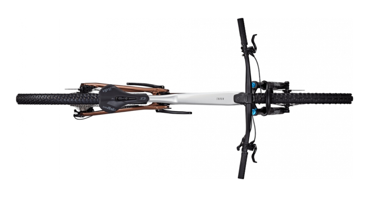 Bicicleta Focus Thron 6.9 Nepal Silver / Platinum Bronze - 29