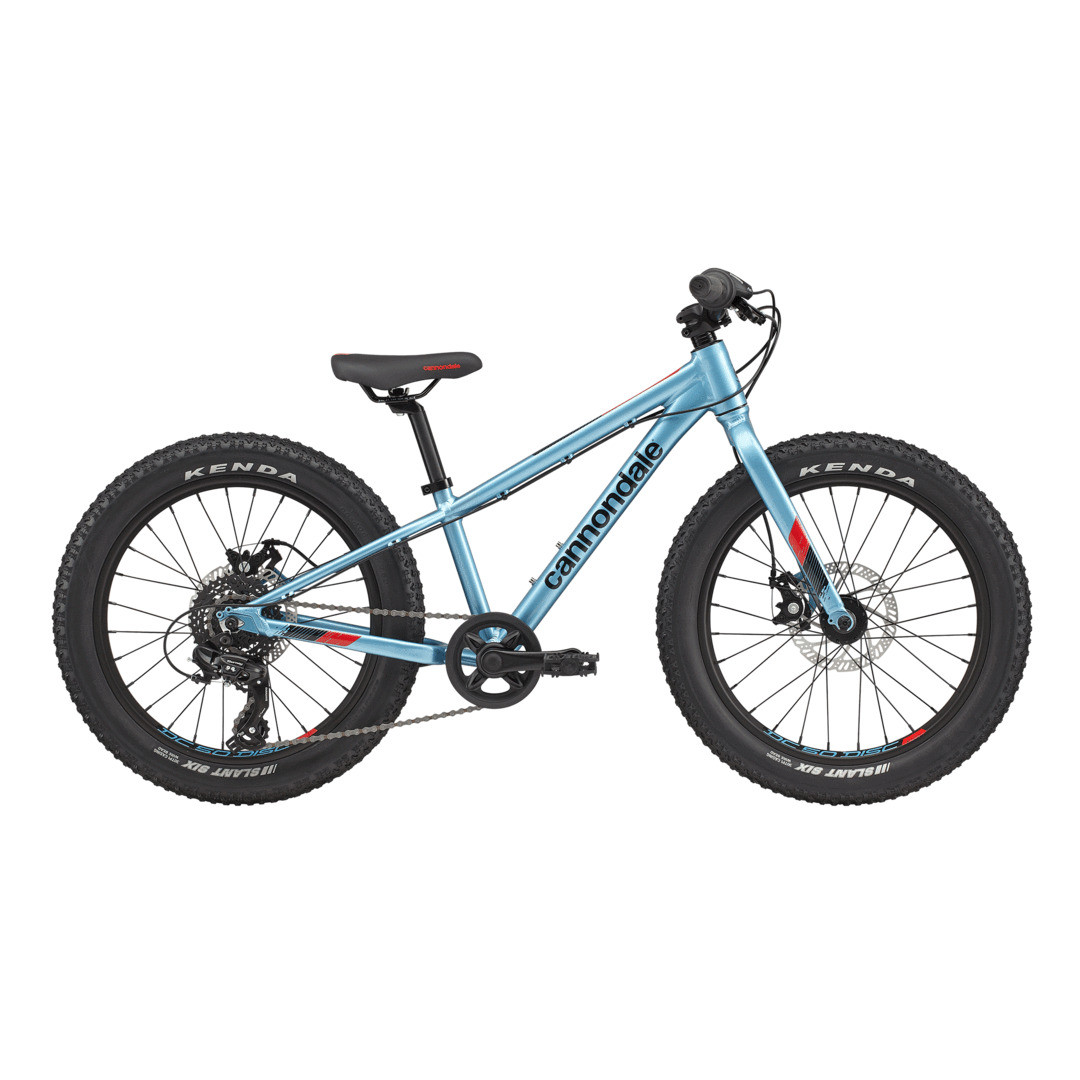 自転車本体 Cannondale Kids Cujo 20 Bicicleta Cannondale Kids Cujo 20+ Alpine (ALP)