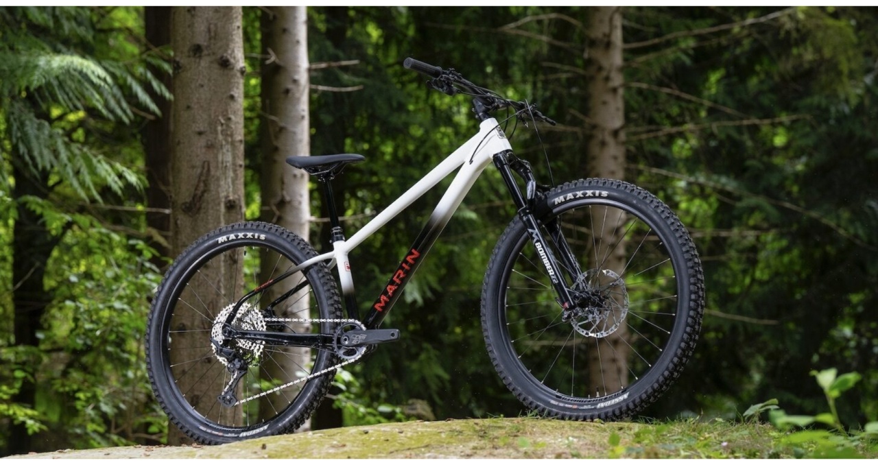 Bicicleta Marin SAN QUENTIN 3, White BLACK - 29