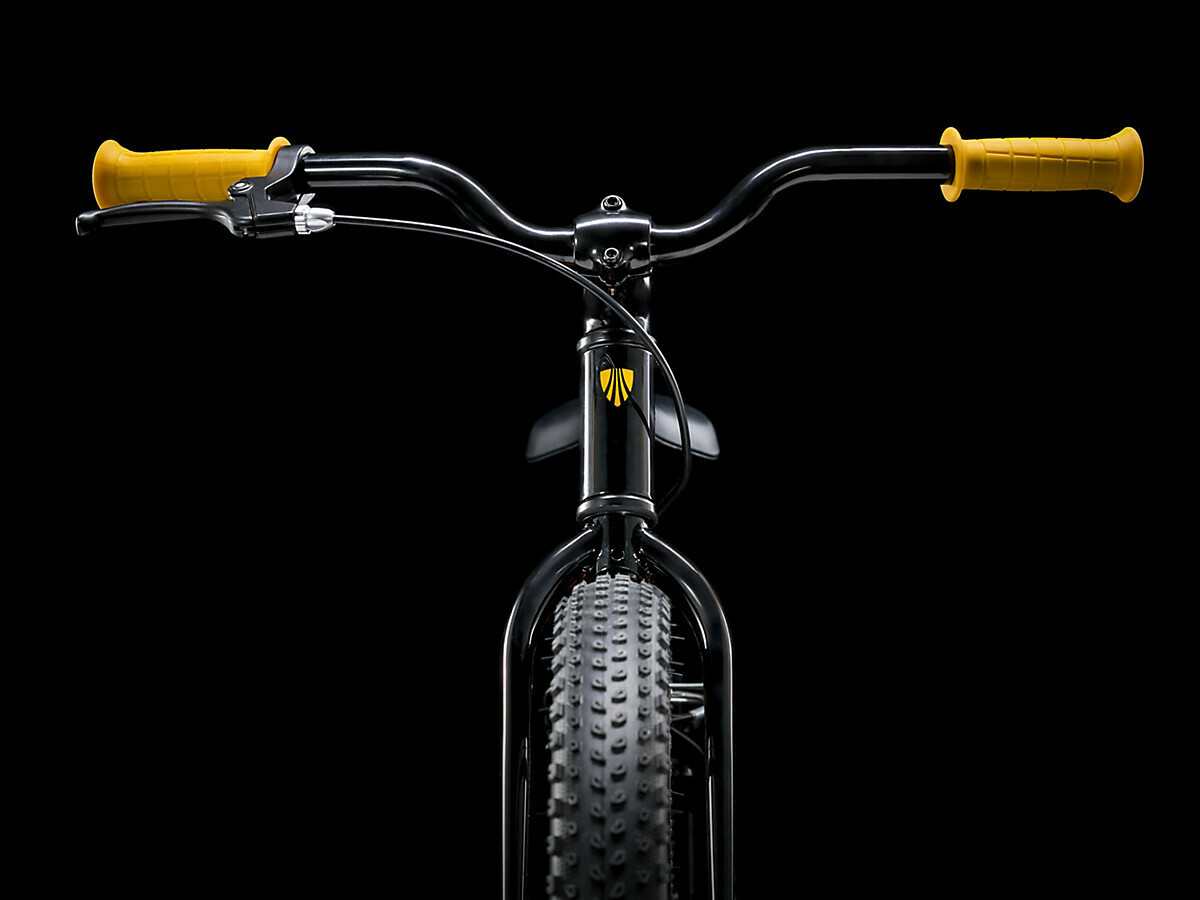Bicicleta Trek Precaliber 20