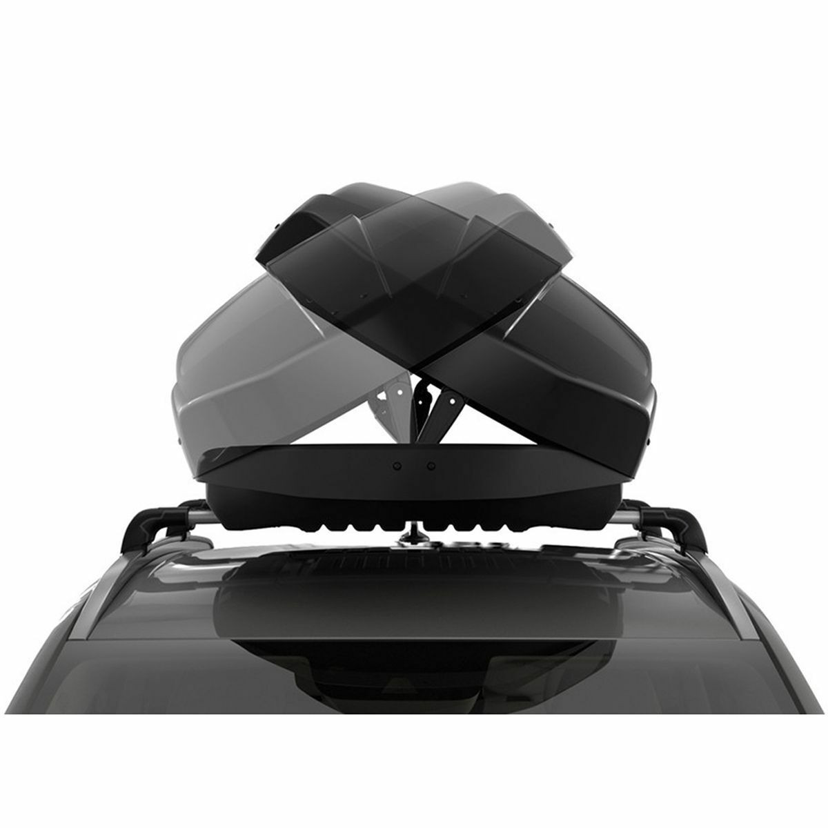 Thule cutie Motion XT Alpine ski roof box Titan lucios