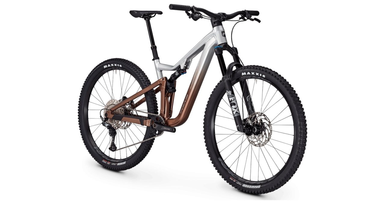 Bicicleta Focus Thron 6.9 Nepal Silver / Platinum Bronze - 29