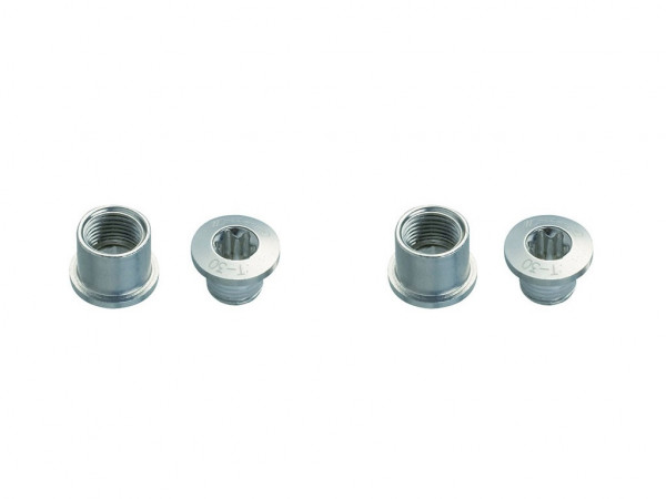 Suruburi foaie angrenaj FSA CR Bolt Kit Argintiu Road/MTB T30 E0024 10 buc