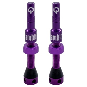 Ambit Valve Stem Realm Purple