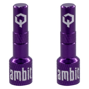 Ambit Tubeless Valve Adapters Realm Purple