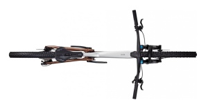 Bicicleta Focus Thron 6.9 Nepal Silver / Platinum Bronze - 29