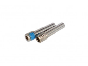 hub limiting screw Deluxe RL/RT rear,trunnion (2 pcs.),A1(2017)