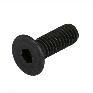 Fixing screw for cable protector, torx pan head screw M4x10