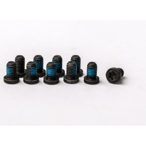 Reach-adjust screw for HS33 (PU = 10 pieces)
