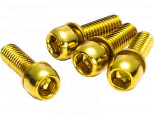 Suruburi disc frana REVERSE M6x18mm auriu