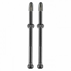 Ventil SCHWALBE Tubeless (Set) 100mm