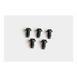 EBT screws MT caliper from MY 2015 (PU = 5 pieces)