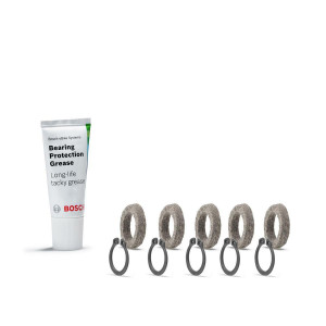 Kit service BDU2xx cu inel pasla protectie rulmenti