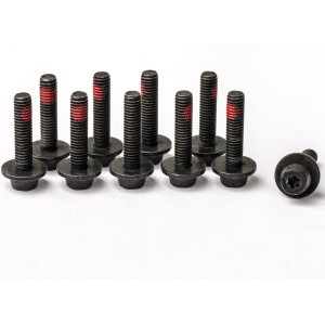 Central fixing screw EASY MOUNT adapter, M6, Torx T25 (PU = 10 pieces)