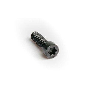 Master clamp fixing screws for MT from MY2015, M5x17, 5, black (PU = 10 pieces)