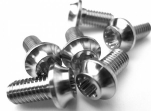 Suruburi disc Ashima, titanium, M5x10,5-torx T25, argintii (6pcs/blister)