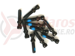 Surub Magura Quick Release
