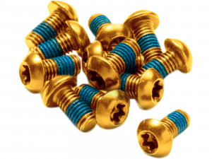 Suruburi disc frana REVERSE DISC ROTOR BOLTS gold 12 buc