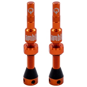 Ambit Valve Stem Realm Orange