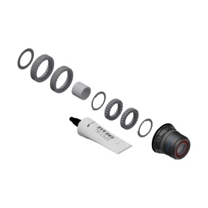 Kit Conversie DT Swiss Butuc Spate Otel, 3-pawl In Ratchet, SRAM XD