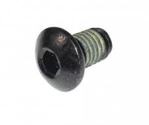 Mounting screw SR-Suntour for SF18 Raidon34-RLR