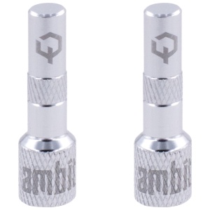 Ambit Tubeless Valve Adapters Realm Silver