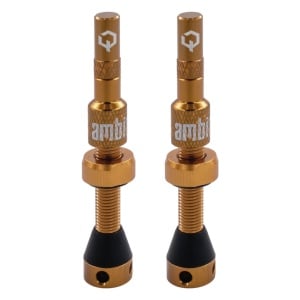 Ambit Valve STEM Realm Brown