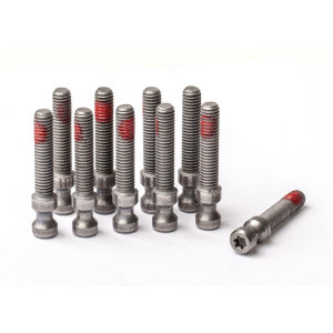 Quick release screw, for EASY MOUNT, T25 (PU = 10 pieces)