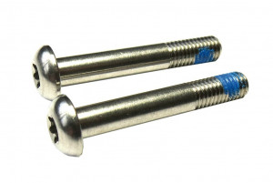screws Sram f.disc brake adapt.FMC 00.5318.005.011 titanium 2 pcsT25 42mm
