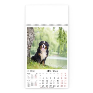 Calendar de Perete Catei in Natura - Img 6
