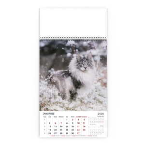 Calendar de Perete Miaunei - Img 2