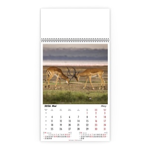 Calendar de Perete Natura Neimblanzita - Img 6