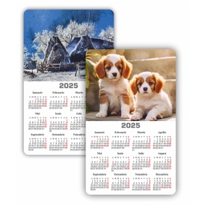 Calendar magnetic ARHI