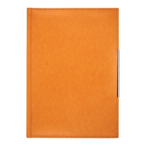 Agenda nedatata lux B5 orange