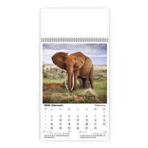 Calendar de Perete Natura Neimblanzita - Img 3
