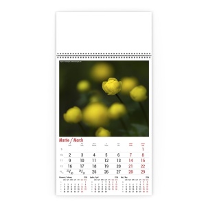 Calendar de Perete Flori Salbatice Horia Bogdan - Img 4