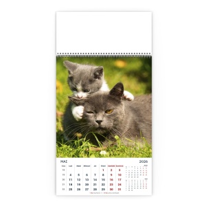 Calendar de Perete Miaunei - Img 6