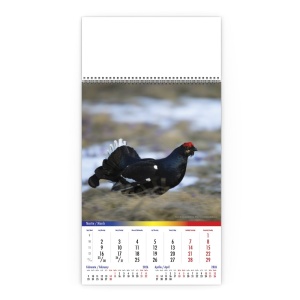 Calendar de Perete Romania Salbatica Pasari - Img 4