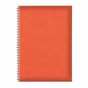Agenda B5 TUCSON, nedatata, hartie offset alb, spira ascunsa, coperta portocalie - Img 1