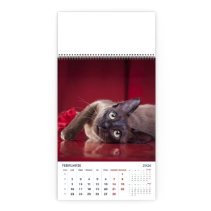 Calendar de Perete Miaunei - Img 3