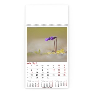 Calendar de Perete Flori Salbatice Horia Bogdan - Img 5