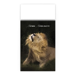 Calendar de Perete Natura Neimblanzita