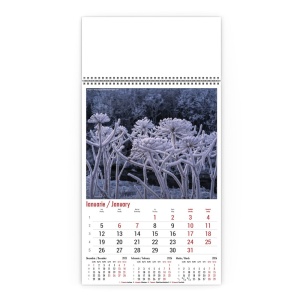 Calendar de Perete Flori Salbatice Horia Bogdan - Img 2