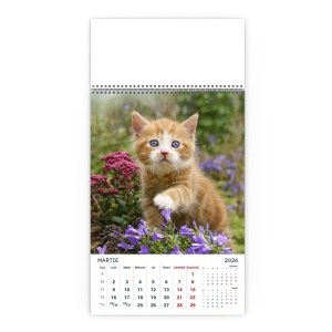 Calendar de Perete Miaunei - Img 4