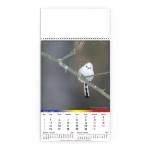 Calendar de Perete Romania Salbatica Pasari - Img 2