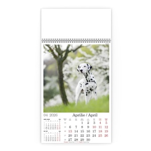 Calendar de Perete Catei in Natura - Img 5