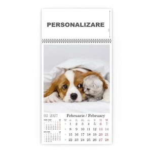 Calendar de Perete cu imagini Catei si Pisici - Img 6